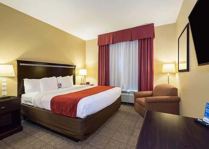Comfort Inn & Suites Maingate South